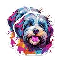 (2 Pack) Havanese Dog Breed Stickers - 5 Inches On Longest Side - Choose from Over 100 Dog Breeds - for Cars, Trucks, Skateboards, Laptops - Made in USA - BMCS1875
