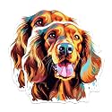 (2 Pack) Irish Setter Dog Breed Stickers - 5 Inches On Longest Side - Choose from Over 100 Dog Breeds - for Cars, Trucks, Skateboards, Laptops - Made in USA - BMCS1879