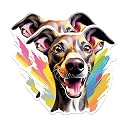 (2 Pack) Italian Greyhound Dog Breed Stickers - 5 Inches On Longest Side - Choose from Over 100 Dog Breeds - for Cars, Trucks, Skateboards, Laptops - Made in USA - BMCS1884