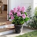 2 Pack Large Artificial Hydrangea Plants UV Resistant Fake Plastic plantas Flowers Trees Indoor Outdoor Realistic Floor Plants Faux Tree for Home Porch Garden Office Porch Patio Front Bonsai Decor