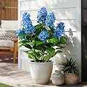 2 Pack Large UV Resistant Artificial Hydrangea Plants Fake Plastic plantas Flowers Trees Indoor Outdoor Realistic Floor Plants Faux Tree for Home Porch Garden Office Porch Patio Front Bonsai Decor