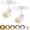 2-Pack LED Ceiling Spotlight 5-Color Dimmable 10W White Adjustable Directional Flush Mount Ceiling Spot Lights, 24° Beam Angle 1000lm CRI90+ Flicker-Free, Perfect for Art, Picture, Kitchen