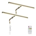 2 Pack LED Picture Lights for Paintings Plug in, 16 Inch 4W Adjustable Art Light Gallery Wall Light for Display Art Work, Antique Brass Finish, CRI90+, 3000K Warm White