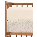 2-Pack Mini Crib Sheets Fitted - Pack N Play Sheets - 38 x 24in, Goose