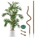 2 Pack Moss Pole 63 Inch Monstera Plant Sticks Support Tall Long Stakes