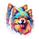 (2 Pack) Pomeranian Dog Breed Stickers - 5 Inches On Longest Side - Choose from Over 100 Dog Breeds - for Cars, Trucks, Skateboards, Laptops - Made in USA - BMCS1920