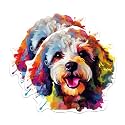 (2 Pack) Poodle Dog Breed Stickers - 5 Inches On Longest Side - Choose from Over 100 Dog Breeds - for Cars, Trucks, Skateboards, Laptops - Made in USA - BMCS1922