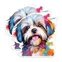 (2 Pack) Shih Tzu Dog Breed Stickers - 5 Inches On Longest Side - Choose from Over 100 Dog Breeds - for Cars, Trucks, Skateboards, Laptops - Made in USA - BMCS1953