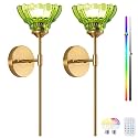 Vintage Battery Operated Wall Sconce Set of 2,Wireless Rechargeable RGB Wall Light，Green Glass Lampshade with Remote Control for Bedside Bedroom Doorway