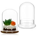 2 Pcs 4.7 x 6.3 Inch Clear Glass Dome Terrarium with Air Hole & Base