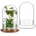 2 Pcs 5.9 x 7.9 Inch Clear Glass Dome Terrarium with Air Hole & Base