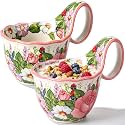 2 Pcs Microwavable Soup Bowl with Loop Handle 17oz Vintage, Pink Floral