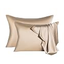 2 Pcs Mulberry Silk Pillowcase for Hair and Skin,Cooling Silk Pillow Case with Hidden Zipper,Allergen Proof Dual Sides Soft Breathable Smooth Silk Pillow Cover for Women(Queen-2PCS,Champagne)