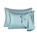 2 Pcs Mulberry Silk Pillowcase for Hair and Skin,Cooling Silk Pillow Case with Hidden Zipper,Allergen Proof Dual Sides Soft Breathable Smooth Silk Pillow Cover for Women.(Standard-2PCS,Aqua Blue)