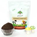 20 KG Vermicompost Sack,100% cow dung based, natural and organic for garden, kitchen gardens, Pure Kechuwa Khaad (20 KG)