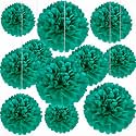 20 PCS Blue Green Tissue Paper Pom Poms, Tissue Pom Poms Flowers, Sizes of 6", 10", 12", 14" Hanging Paper Flower Ball for Wedding, Birthday, Halloween, Christmas, Baby Shower Party Decor