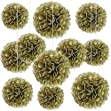 20 PCS Golden Tissue Paper Pom Poms, Tissue Pom Poms Flowers, Sizes of 6", 10", 12", 14" Hanging Paper Flower Ball for Wedding, Birthday, Halloween, Christmas, Baby Shower Party Decor