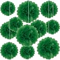 20 PCS Green Tissue Paper Pom Poms, Tissue Pom Poms Flowers, Sizes of 6", 10", 12", 14" Hanging Paper Flower Ball for Wedding, Birthday, Halloween, Christmas, Baby Shower Party Decor