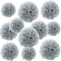 20 PCS Grey Tissue Paper Pom Poms, Tissue Pom Poms Flowers, Sizes of 6", 10", 12", 14" Hanging Paper Flower Ball for Wedding, Birthday, Halloween, Christmas, Baby Shower Party Decor