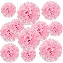 20 PCS Light Pink Tissue Paper Pom Poms, Tissue Pom Poms Flowers, Sizes of 6", 10", 12", 14" Hanging Paper Flower Ball for Wedding, Birthday, Gender Reveal, Valentines Party, Baby Shower Party Decor