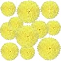 20 PCS Light Yellow Tissue Paper Pom Poms, Tissue Pom Poms Flowers, Sizes of 6", 10", 12", 14" Hanging Paper Flower Ball for Wedding, Birthday, Halloween, Christmas, Baby Shower Party Decor