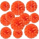20 PCS Orange Tissue Paper Pom Poms, Tissue Pom Poms Flowers, Sizes of 6", 10", 12", 14" Hanging Paper Flower Ball for Wedding, Birthday, Halloween, Christmas, Baby Shower Party Decor