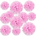 20 PCS Pink Tissue Paper Pom Poms, Tissue Pom Poms Flowers, Sizes of 6", 10", 12", 14" Hanging Paper Flower Ball for Wedding, Birthday, Valentine's Day, Baby Shower Party Decor