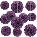20 PCS Purple Tissue Paper Pom Poms, Tissue Pom Poms Flowers, Sizes of 6", 10", 12", 14" Hanging Paper Flower Ball for Wedding, Birthday, Halloween, Christmas, Baby Shower Party Decor