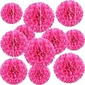 20 PCS Rose Red Tissue Paper Pom Poms Flowers, Sizes of 6", 10", 12", 14" Hanging Paper Flower Ball for Wedding, Birthday, Halloween, Christmas, Baby Shower Party Decor