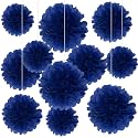 20 PCS Royal Blue Tissue Paper Pom Poms, Tissue Pom Poms Flowers, Sizes of 6", 10", 12", 14" Hanging Paper Flower Ball for Wedding, Birthday, Halloween, Christmas, Baby Shower Party Decor