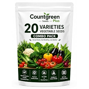 20 Varieties Vegetable Seeds Combo Pack