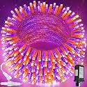 200 LED Connectable String Lights, 66FT Christmas Lights Outdoor Indoor