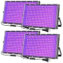 iCreating 200W Black Lights for Glow Party Indoor Large High Power Black Light Flood Light 395nm UV Blacklight Floodlight Purple BlackLights Spotlight Fluorescent UV Lights for Halloween (4 Pack)