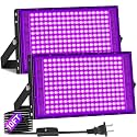 200W Black Light IP66 with 10ft Cable, Powerful for Halloween Glow Party