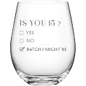 2011 15th Birthday Gifts Wine Glass for Women Her with Gift Box Packaging