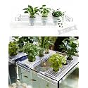 2026 Telescoping Aquarium Plant Holder with 3 Cups, Clear Acrylic