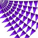 20M/65FT Purple Triangle Pennant Banner Flag Metallic Fabric Bunting Garland for Christmas Graduation Wedding Engagement Anniversary Bachelorette Birthday Bridal Shower Valentines Hen Party Supplies