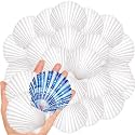 20Pcs 2-3 Inch Scallop Shells for Crafts
