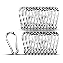 20pcs 3.15 inch 304 Stainless Steel Carabiner Clip Hooks Spring Snap