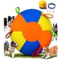 22" Herding Ball for Dogs, Large Dog Toy for Outdoor Play Orange