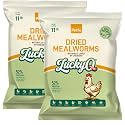 22lb Dried Mealworms for Chickens Duck High Protein Birds Treat