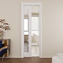 Pocket Door,1-Lite Mirror Doors,Solid Door,24x96 Sliding Door