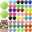 24/48 Pack Colored Tennis Balls Bulk 2.5 Inch High Elasticity