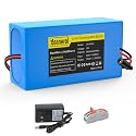 24V 9Ah Lithium Battery, Rechargeable Li-ion Battery with 24V 2A Charger, Cable Connector, Bare Leads Wire for 24 Volt DIY Project LED Light Strip RC Car CCTV Camera