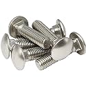 SANTIE 1/4"-20 x 2-1/2" Stainless Steel Carriage Bolts, 25-Pack