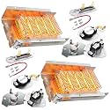 279838 Dryer Heating Element for Whirlpool Maytag Amana Roper Kenmore 70 80 Series wed4815ew1 ned4655ew1 medc215ew1 medx655dw1medc200xw1 red4440vq1, Replaces 2406026 3403585 W10724237, 2 pack