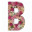 2FT DIY Mosaic Balloon Letter B Frame, Fillable Party Backdrop Decor