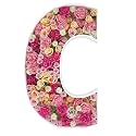 2FT DIY Mosaic Balloon Letter C Frame, Fillable Party Backdrop Decor