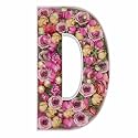 2FT DIY Mosaic Balloon Letter D Frame, Fillable Party Backdrop Decor