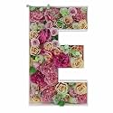2FT DIY Mosaic Balloon Letter E Frame, Fillable Party Backdrop Decor